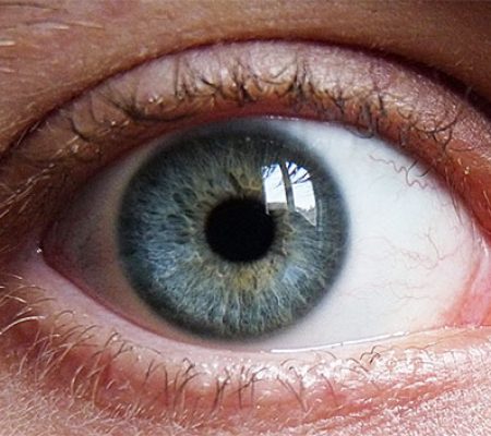 Retina Damar Tıkanıklıkları